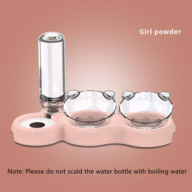 Double Pet Bowl With Automatic Water Feeding Station