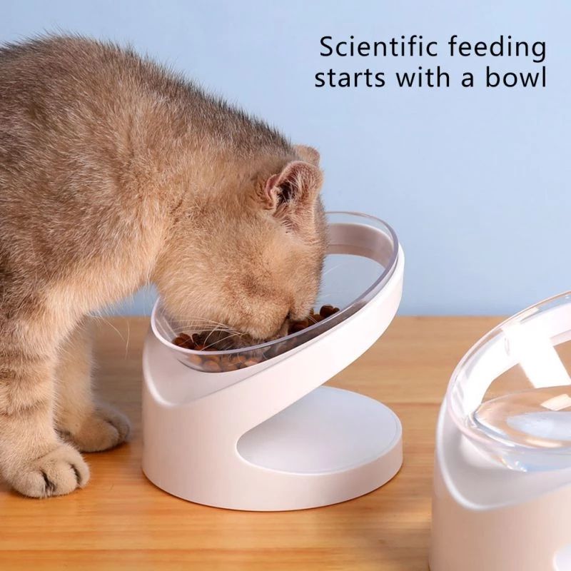 Elevated Cat Food Bowl for Comfortable Feeding Posture