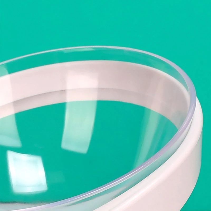 Elevated Cat Food Bowl for Comfortable Feeding Posture