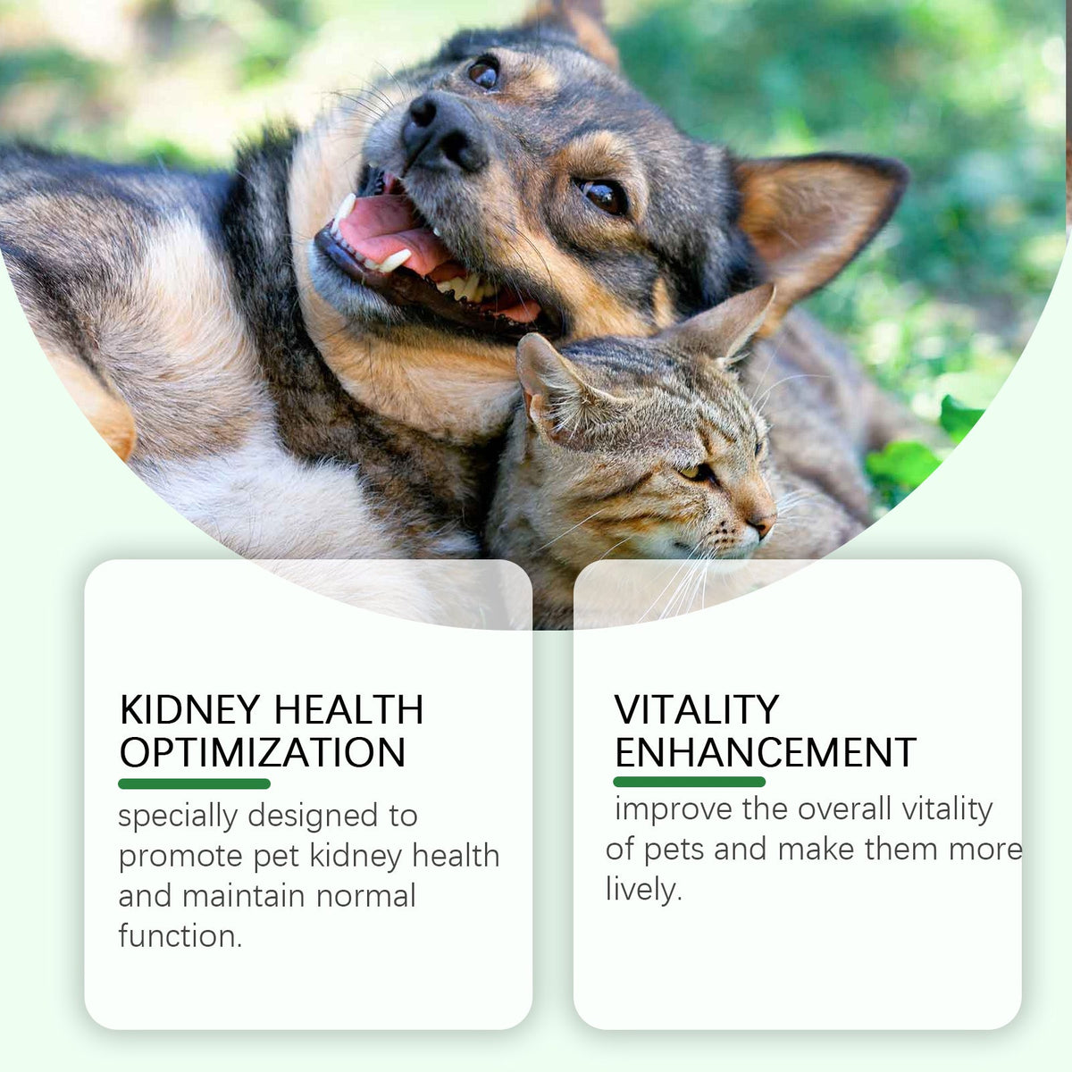 Pet Urinary Tract Supplement for Dogs & Cats Daily Support