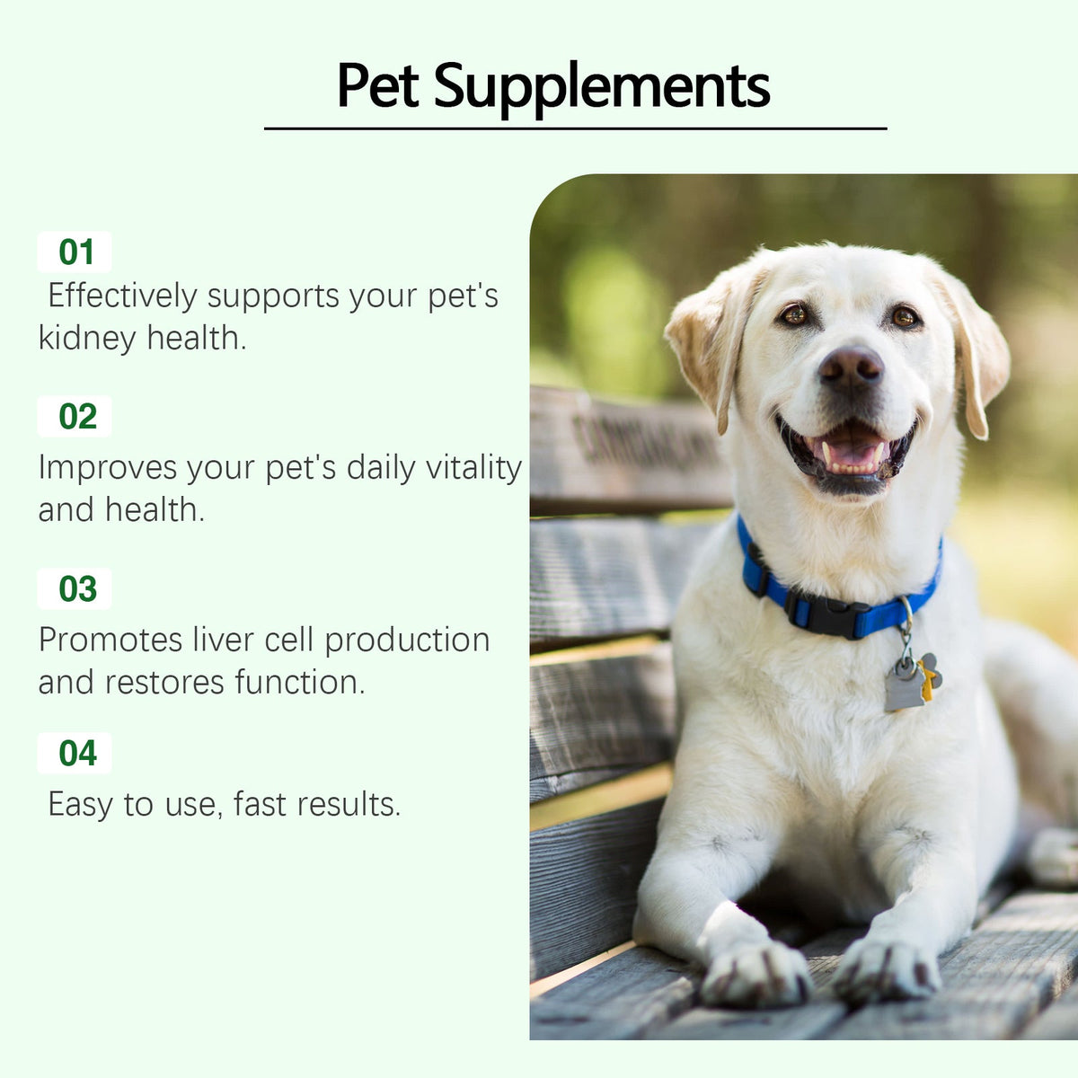 Pet Urinary Tract Supplement for Dogs & Cats Daily Support
