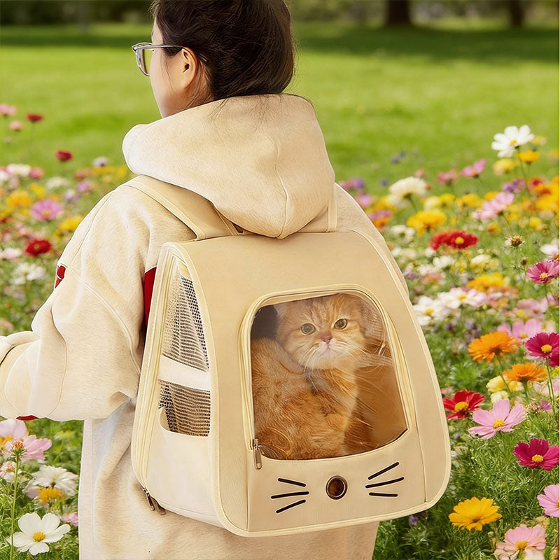 Pet Carrier Backpack for Comfortable Small-Pet Travel