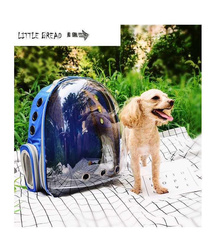 Transparent Cat Carrier Backpack for Hands-Free Travel