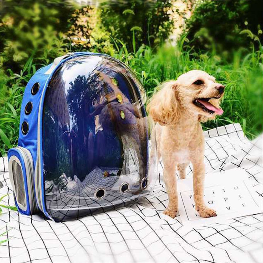 Transparent Cat Carrier Backpack for Hands-Free Travel