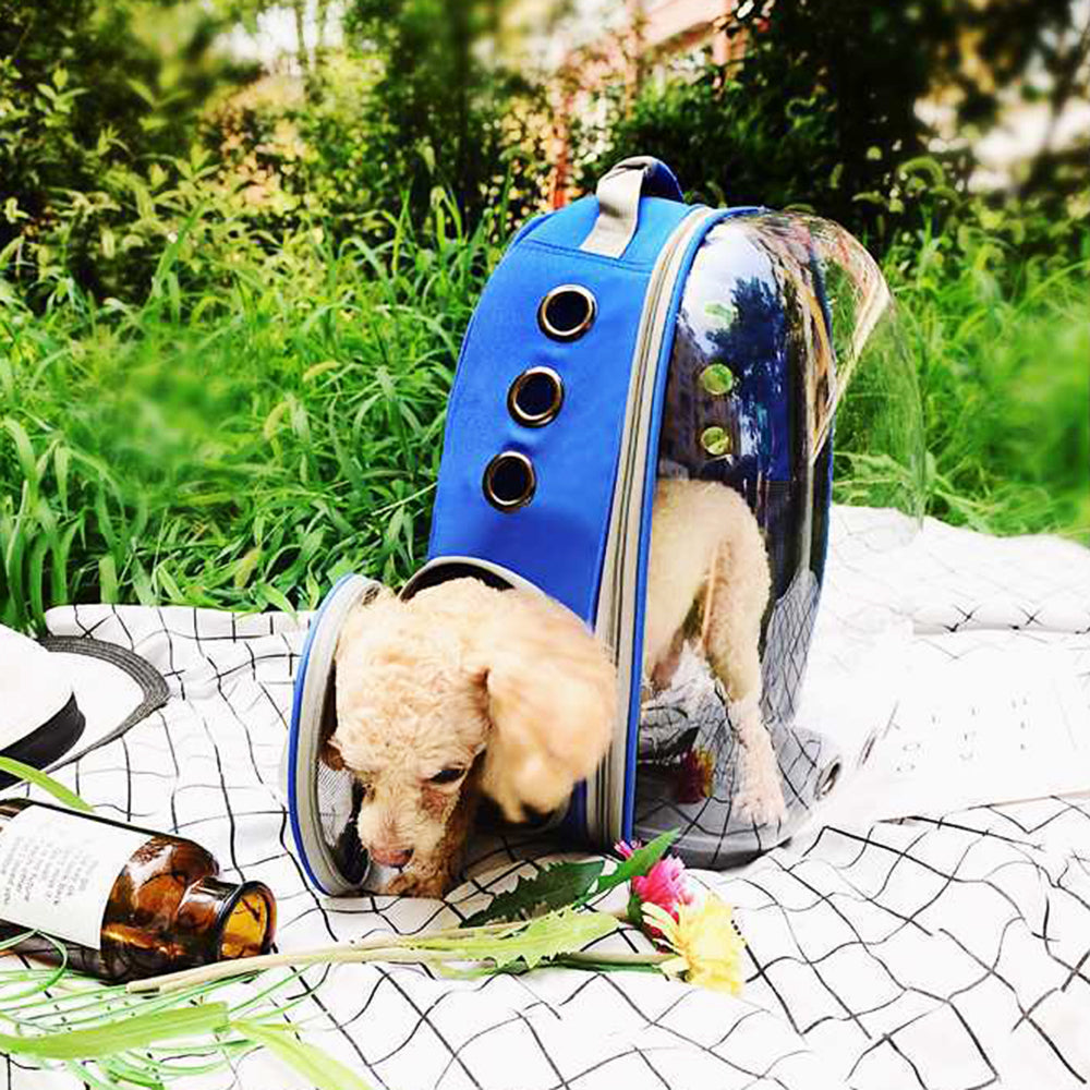 Transparent Cat Carrier Backpack for Hands-Free Travel