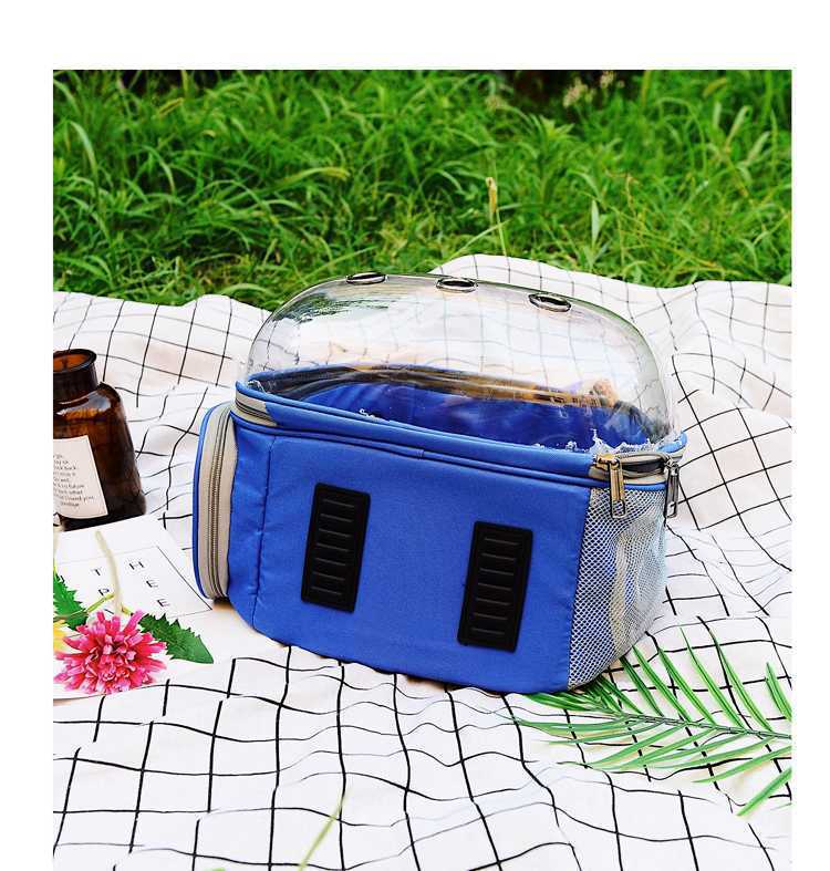 Transparent Cat Carrier Backpack for Hands-Free Travel
