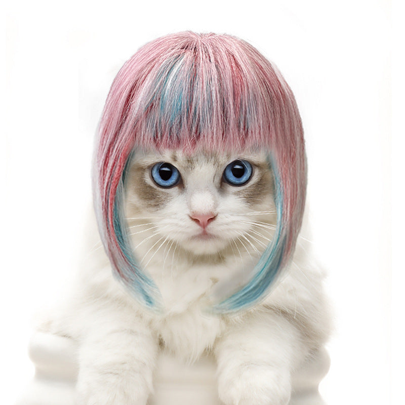 Pet Cat Wig Costume for Colorful, Party-Ready Photos
