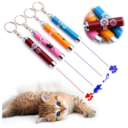 Interactive Cat Laser Toy: LED Paw and Fish Patterns