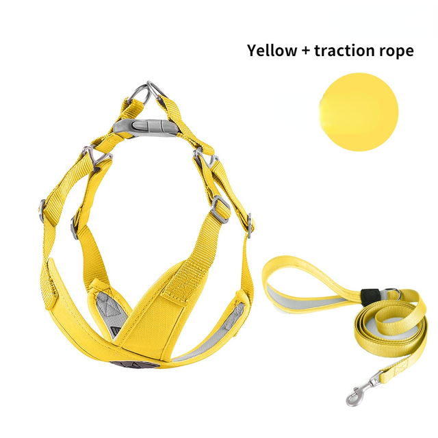 Adjustable Dog Harness for Comfortable Daily Walks