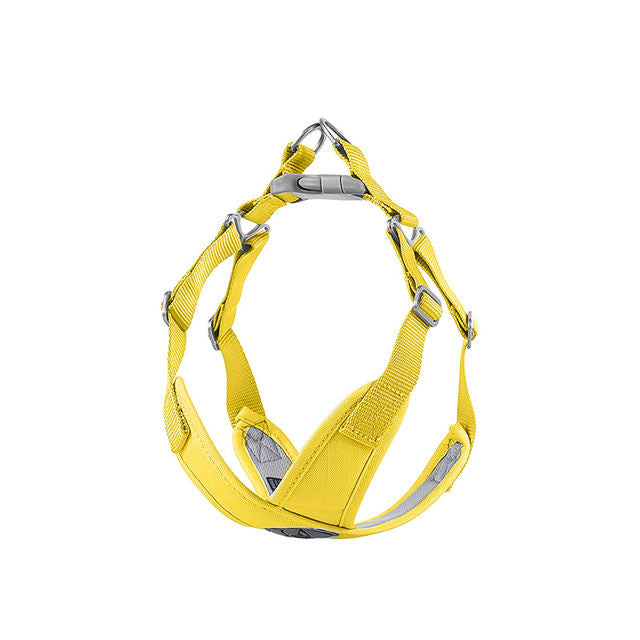 Adjustable Dog Harness for Comfortable Daily Walks