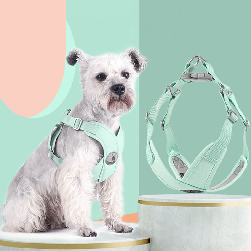 Adjustable Dog Harness for Comfortable Daily Walks