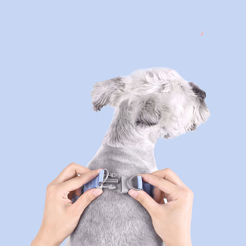 Adjustable Dog Harness for Comfortable Daily Walks
