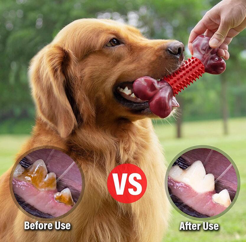 Dog Dental Chew Toy With Durable Dual-Texture Design