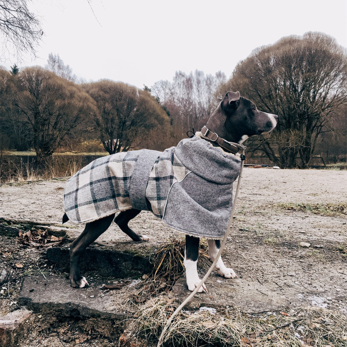 Dog Winter Jacket with Reflective Warmth & Coverage