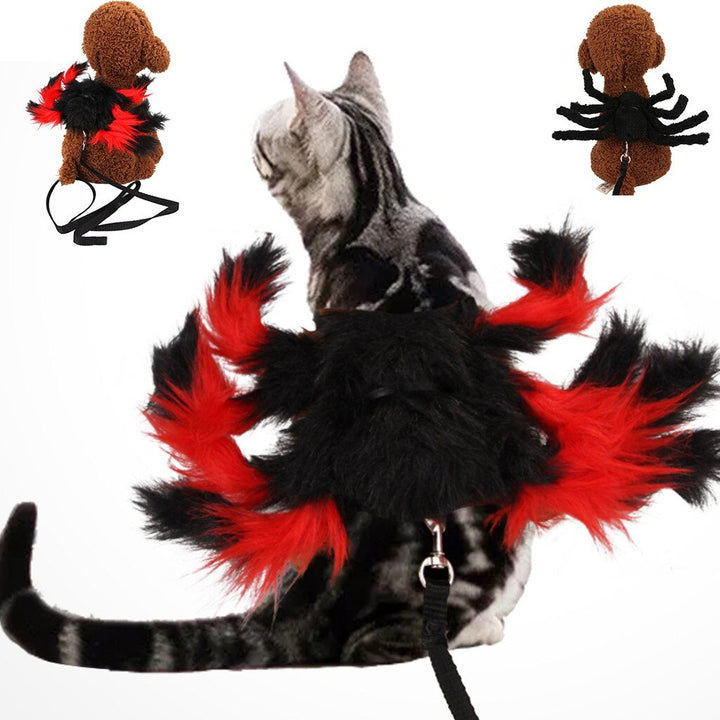 Spider Cat Costume & Small Dog Halloween Harness Set