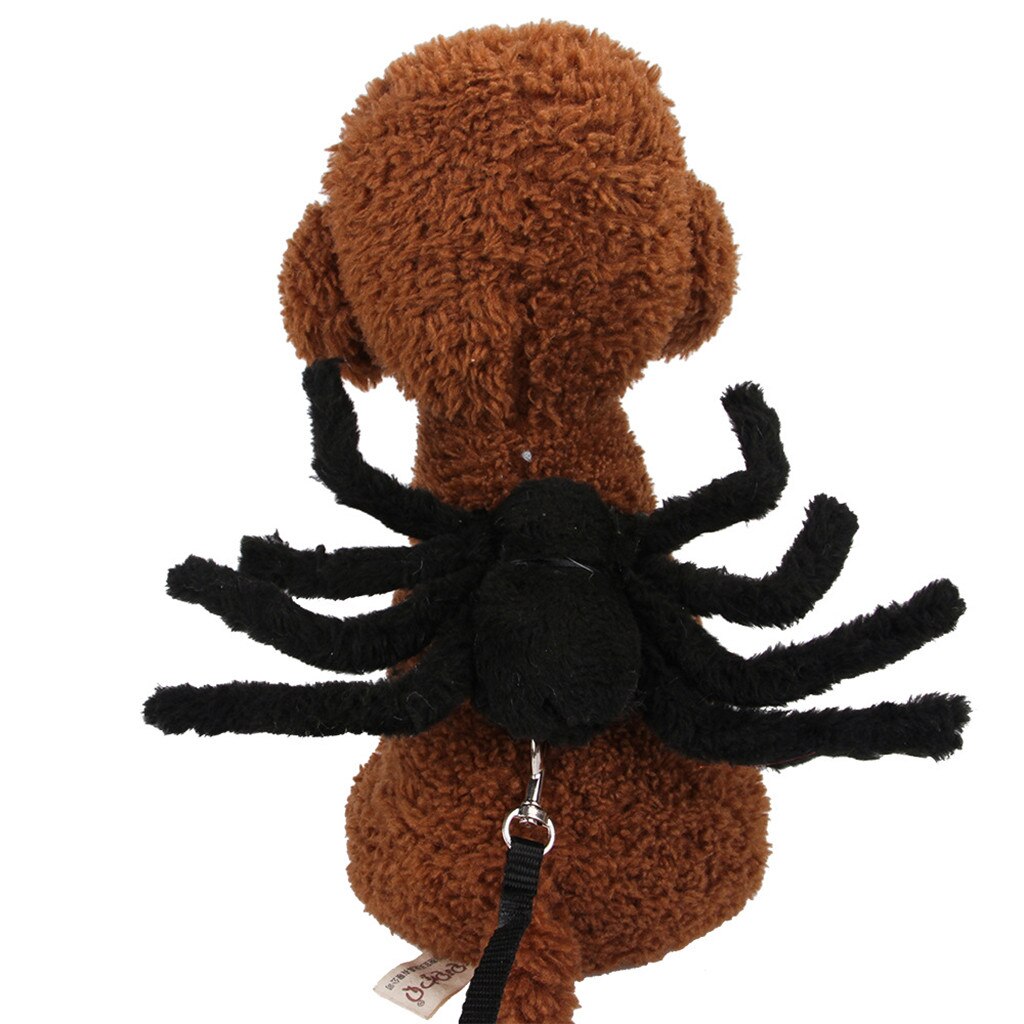 Spider Cat Costume & Small Dog Halloween Harness Set