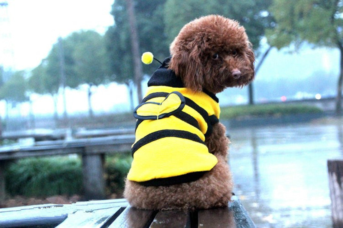 Bee Dog Dress for Small Dogs – Cozy Hooded Fleece Outfit
