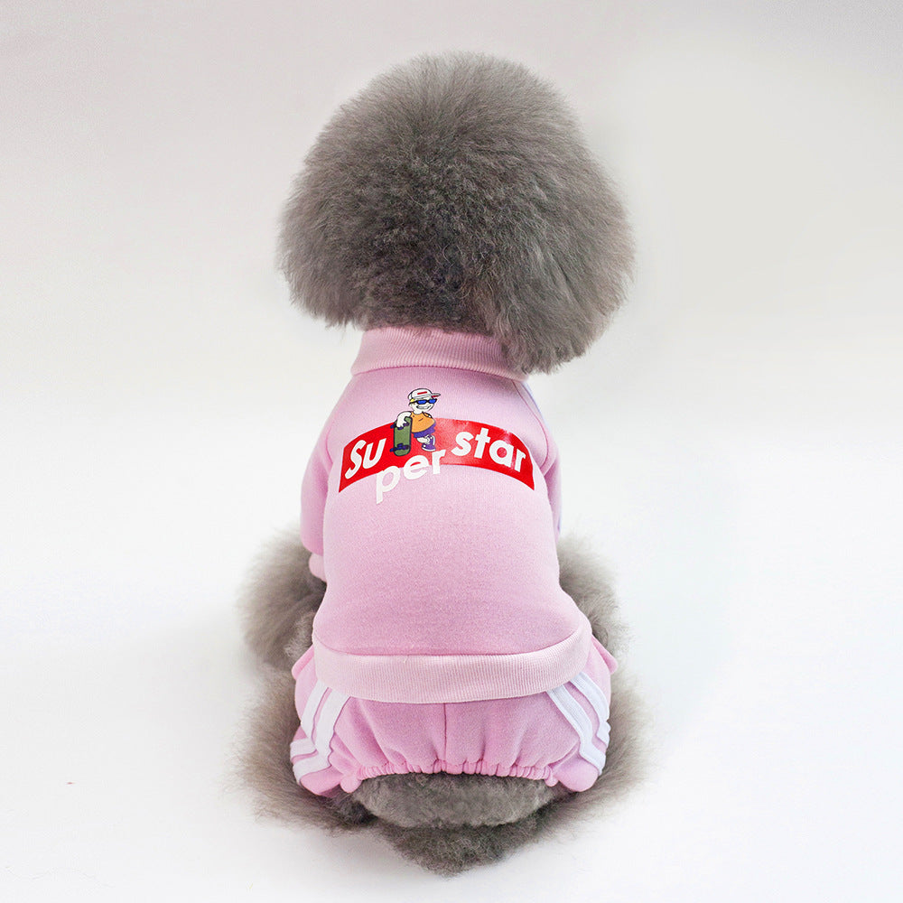 Small Dog Sweater Outfit for Warm Streetwear Style