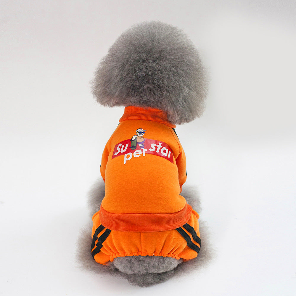 Small Dog Sweater Outfit for Warm Streetwear Style