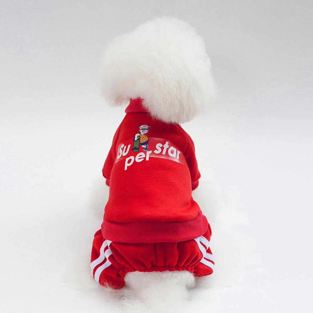 Small Dog Sweater Outfit for Warm Streetwear Style