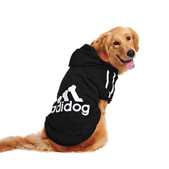 Big Dog Hoodies: Warm Sporty Sweatshirts for Large Breeds