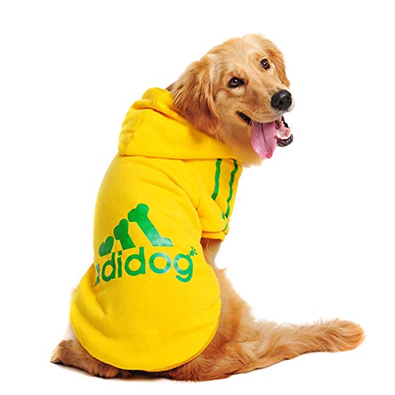 Big Dog Hoodies: Warm Sporty Sweatshirts for Large Breeds