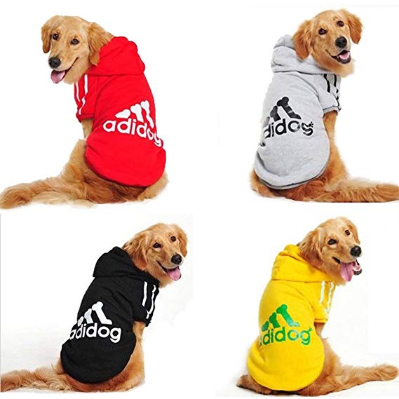 Big Dog Hoodies: Warm Sporty Sweatshirts for Large Breeds