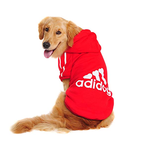 Big Dog Hoodies: Warm Sporty Sweatshirts for Large Breeds
