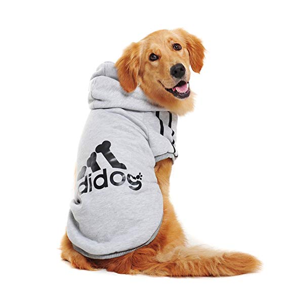 Big Dog Hoodies: Warm Sporty Sweatshirts for Large Breeds