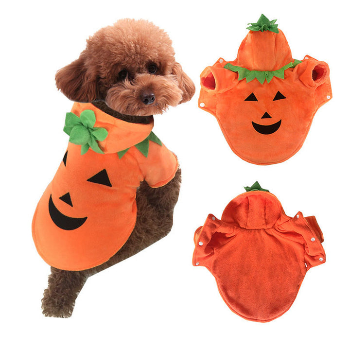 Pumpkin Dog Costume for Cozy Halloween Photo Moments