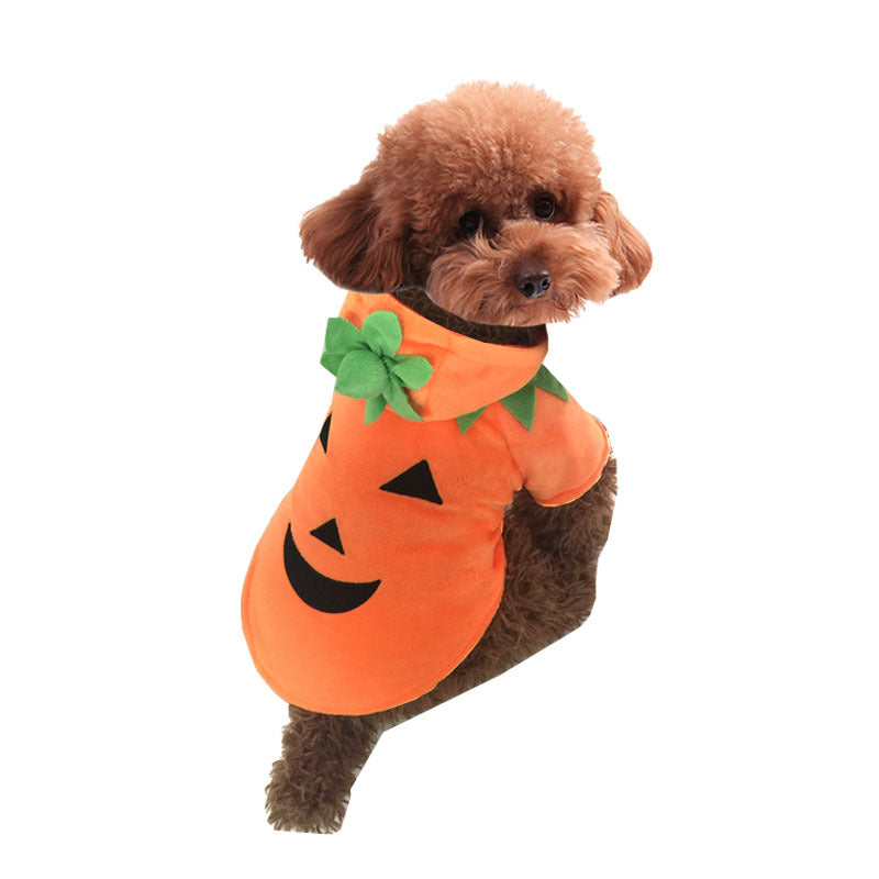 Pumpkin Dog Costume for Cozy Halloween Photo Moments