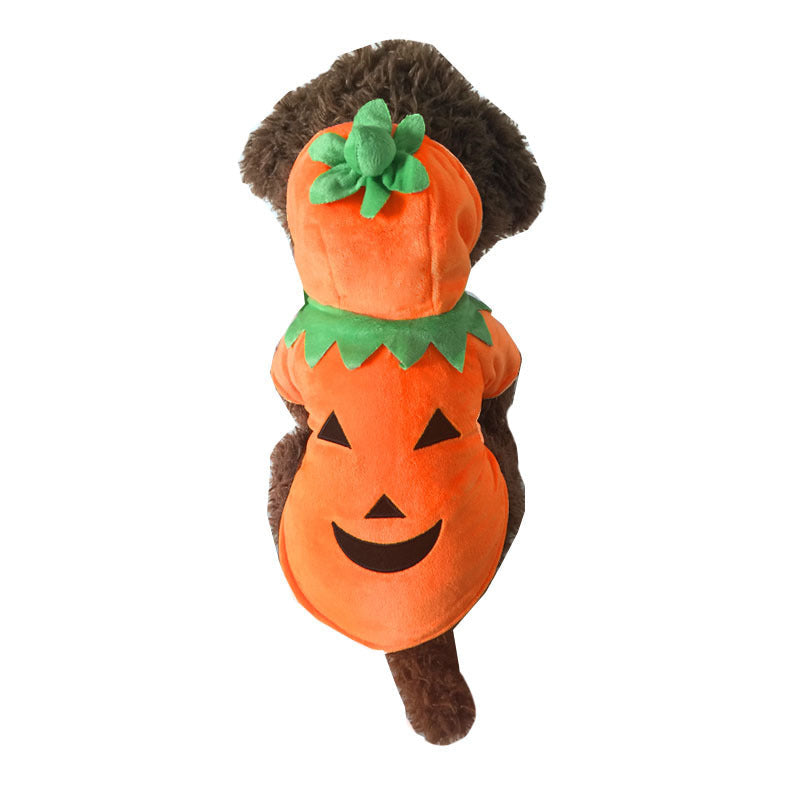 Pumpkin Dog Costume for Cozy Halloween Photo Moments