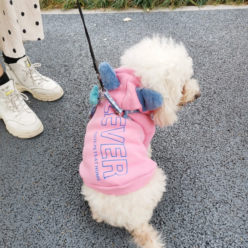 Hooded Dog Sweater for Warm, Cozy Cold-Weather Walks