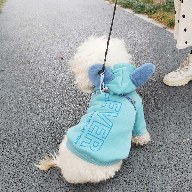 Hooded Dog Sweater for Warm, Cozy Cold-Weather Walks