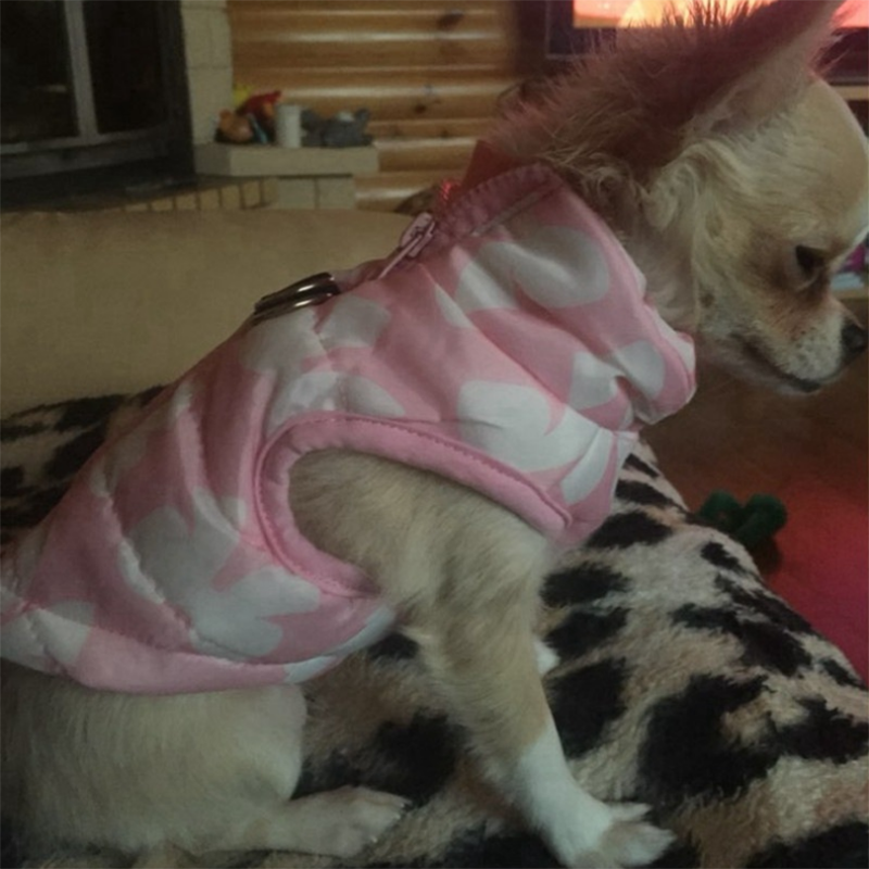 Small Dog Winter Vest | Warm Windproof Dog Jacket