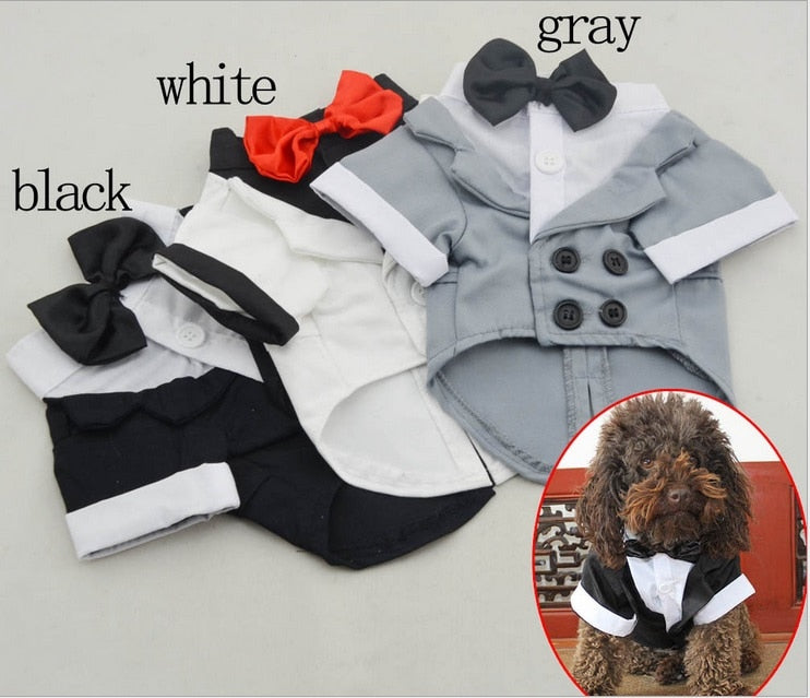 Dog Tuxedo Shirt With Bow Tie For Weddings & Photos