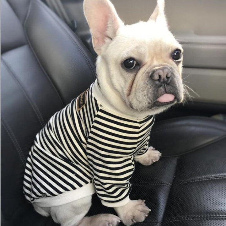 Striped Dog Sweater for Small Dogs, Warm and Stylish