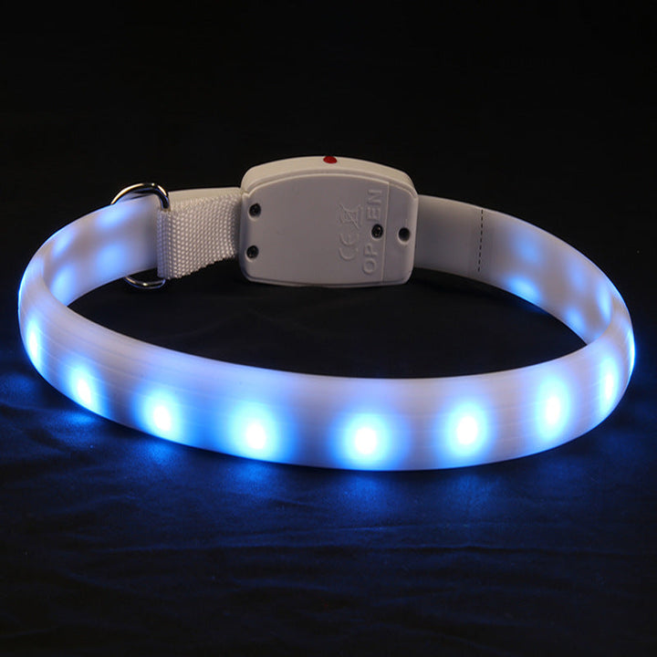 LED Dog Collar for Brighter Nighttime Walk Visibility