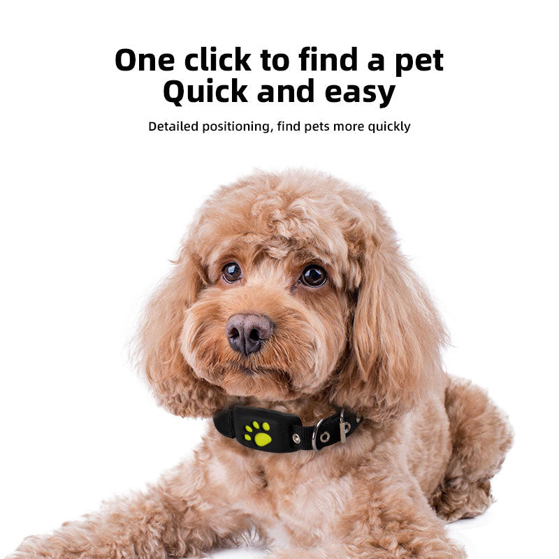 GPS Pet Tracking Collar for Real-Time Positioning