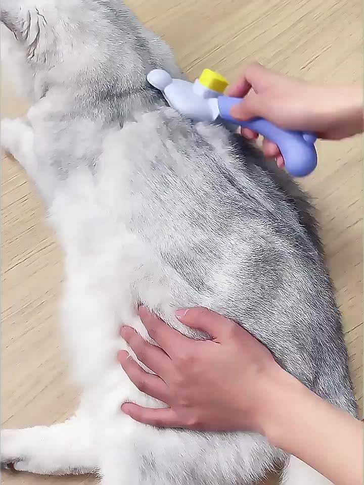 Pet Grooming Comb for Gentle Loose Fur Removal Tool