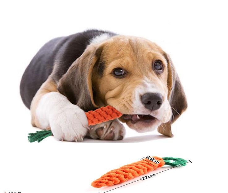 Cotton Rope Carrot Dog Toy for Chewing, Tugging & Fun