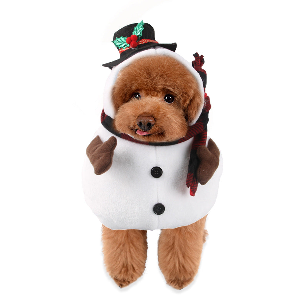 Pet Character Costume for Memorable Halloween Photos