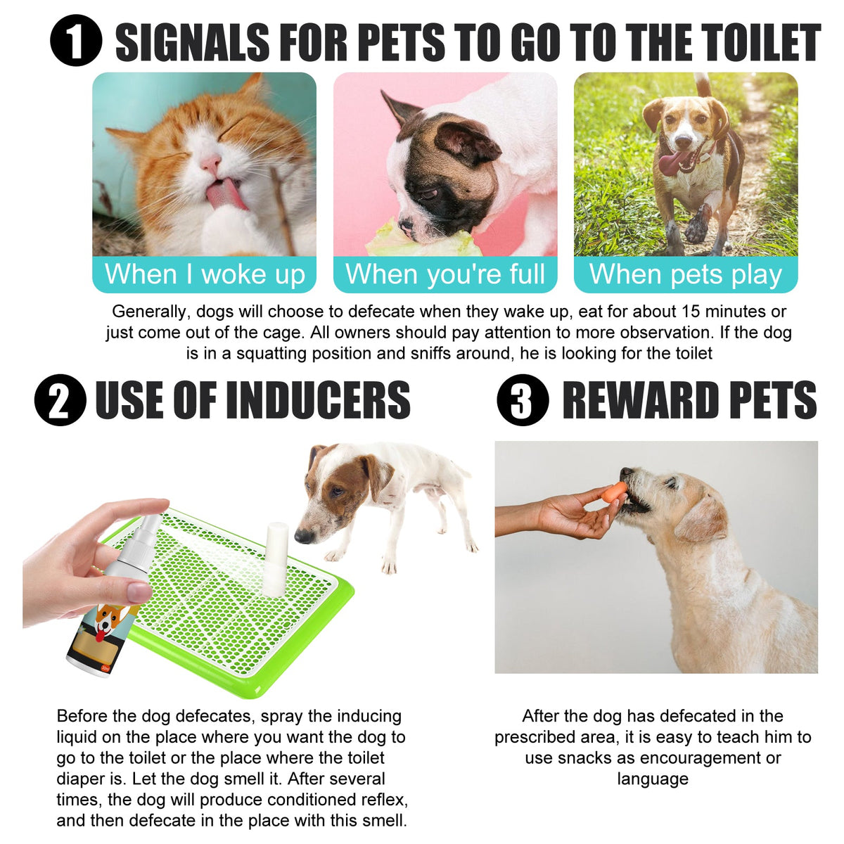 Pet Poop Training Spray for Designated Bathroom Spots