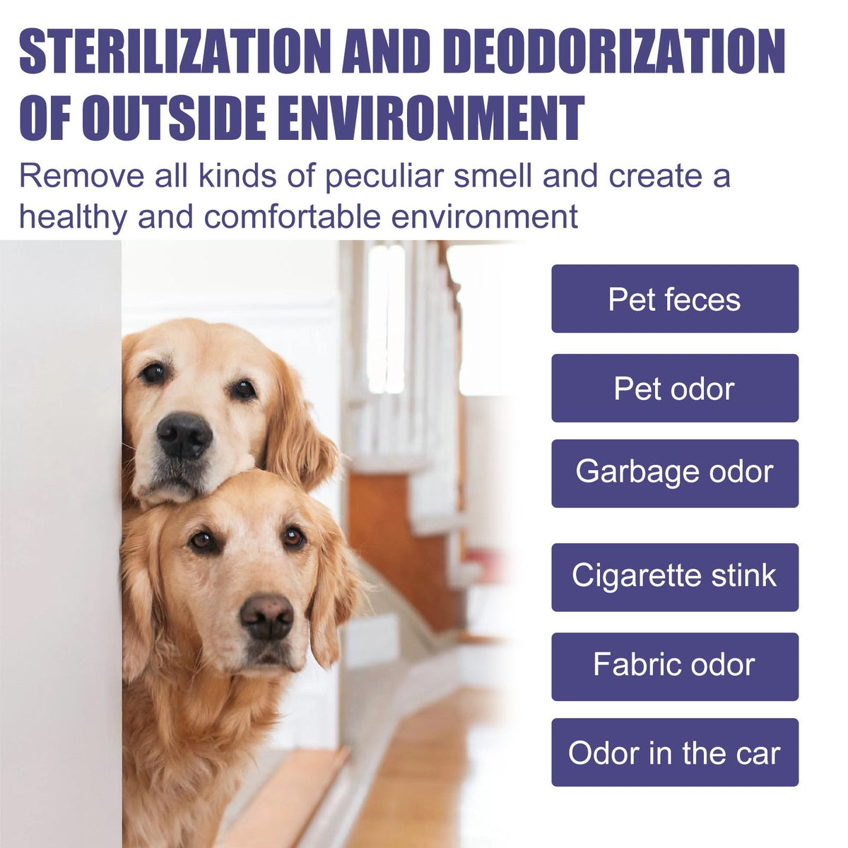 Pet Deodorant Spray for Fresher Home Odor Control