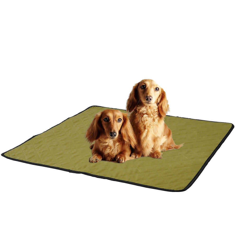 Reusable Dog Diaper Pad for Absorbent Floor Protection