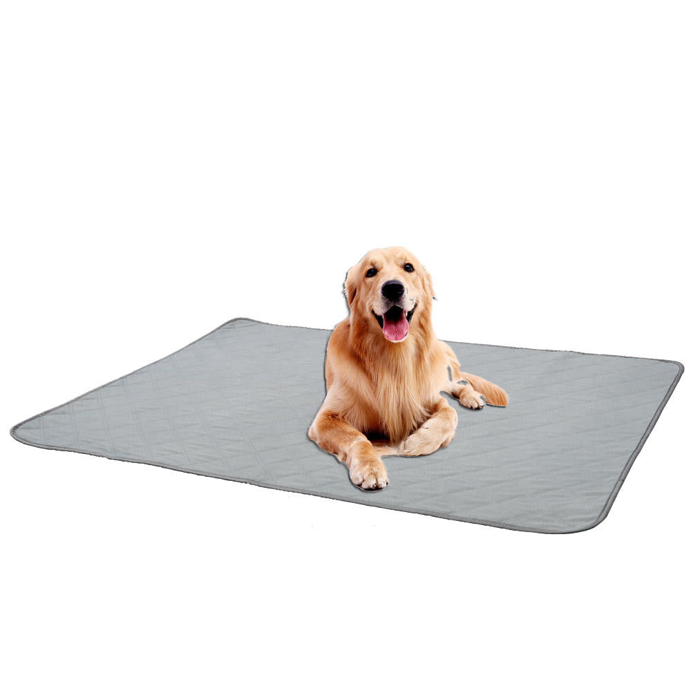 Reusable Dog Diaper Pad for Absorbent Floor Protection