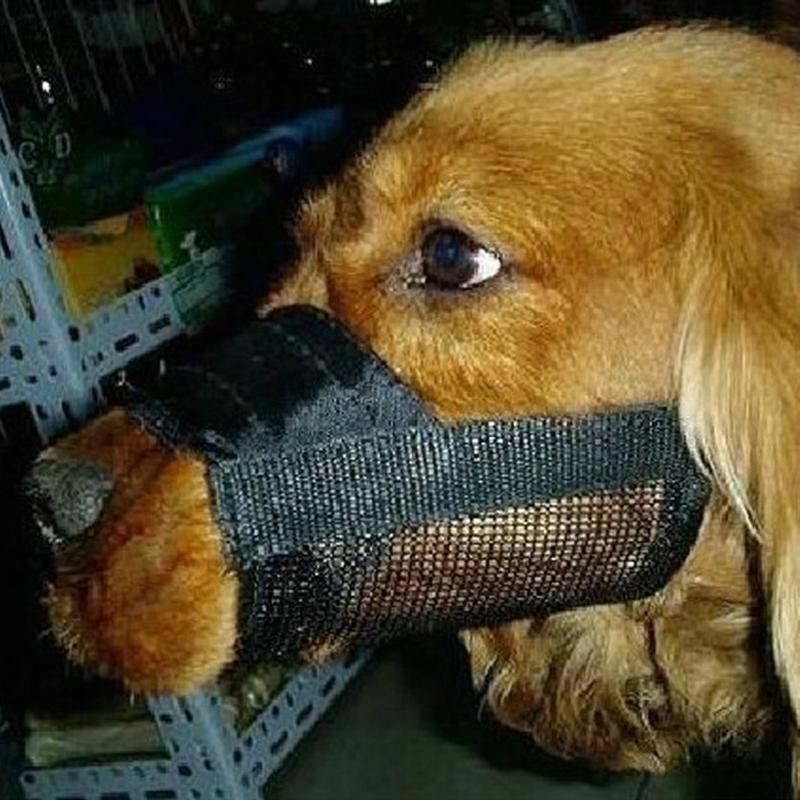 Adjustable Breathable Dog Muzzle That Stops Biting