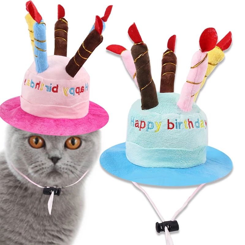 Pet Birthday Hat for Dogs & Cats, Photo-Ready Fun