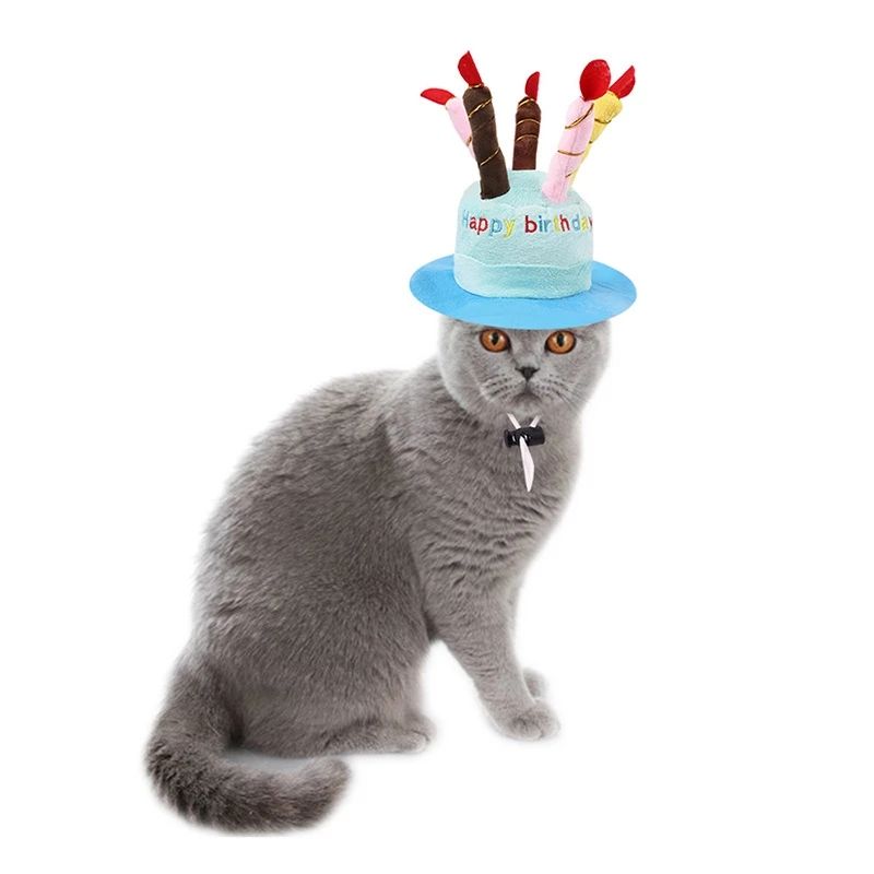 Pet Birthday Hat for Dogs & Cats, Photo-Ready Fun