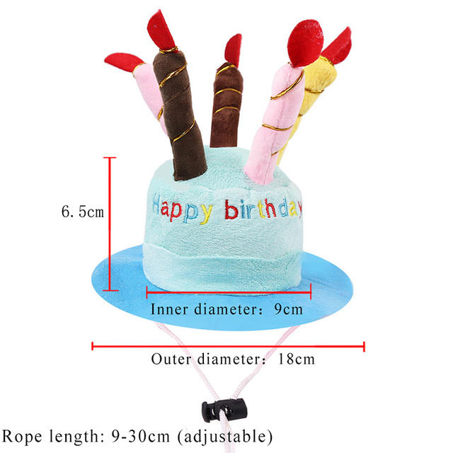 Pet Birthday Hat for Dogs & Cats, Photo-Ready Fun